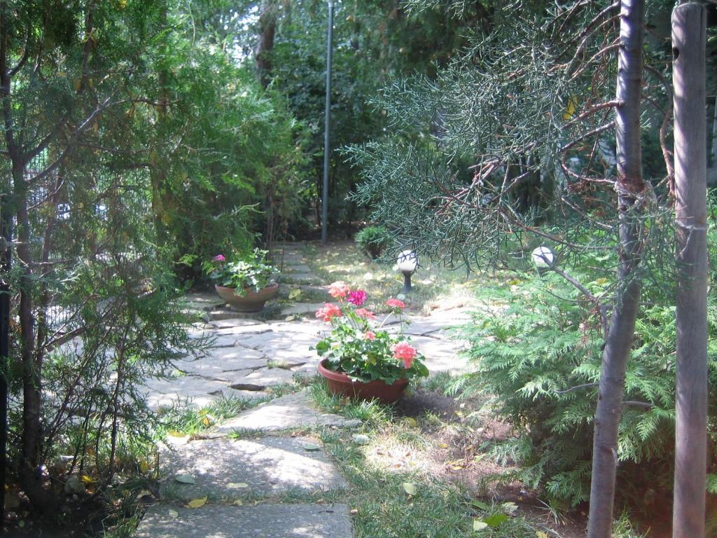 Vila Elena Западен Ефорие Екстериор снимка